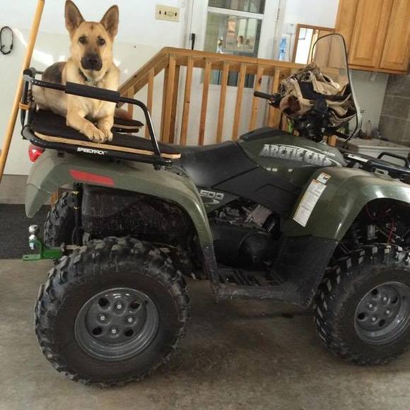 Meet your Posher, Richard - Picture 1 of 1